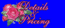 Details and Pricing for Web Design by Sharon - Website Design, Website Maintenance, Web site design, Web Site Maintenance, Custom Website Design, Custom Web Site Design