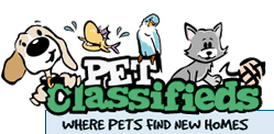 Pet Classifieds